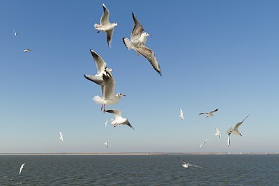 BUITEN BEELD Foto: 117591