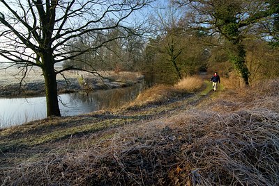 BUITEN BEELD Foto: 117629