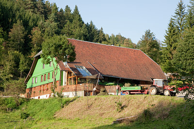 BUITEN BEELD Foto: 117641