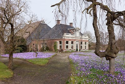 BUITEN BEELD Foto: 117653