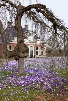 BUITEN BEELD Foto: 117654