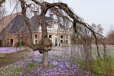 BUITEN BEELD Foto: 117661