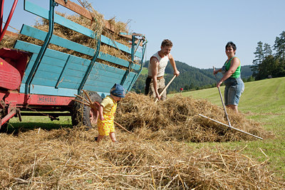 BUITEN BEELD Foto: 117668