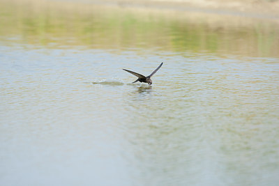 BUITEN BEELD Foto: 117783