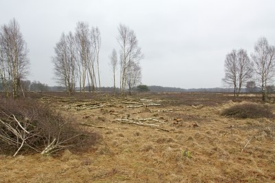 BUITEN BEELD Foto: 117812