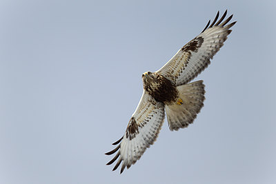 BUITEN BEELD Foto: 117948