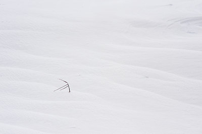 BUITEN BEELD Foto: 118014