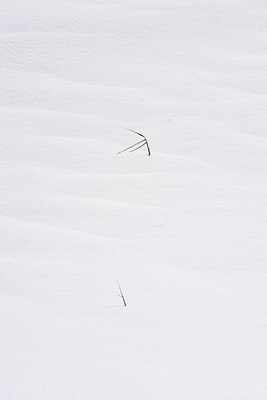BUITEN BEELD Foto: 118015