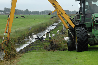 BUITEN BEELD Foto: 118075