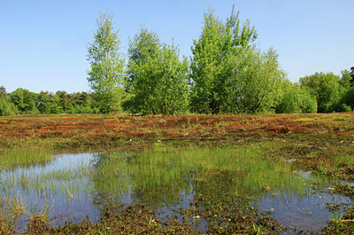 BUITEN BEELD Foto: 118086