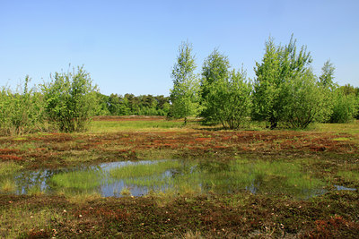 BUITEN BEELD Foto: 118087