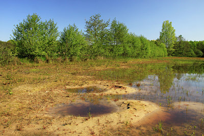 BUITEN BEELD Foto: 118098