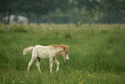 BUITEN BEELD Foto: 118104