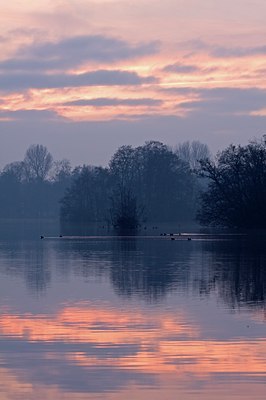 BUITEN BEELD Foto: 118122