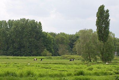 BUITEN BEELD Foto: 118124