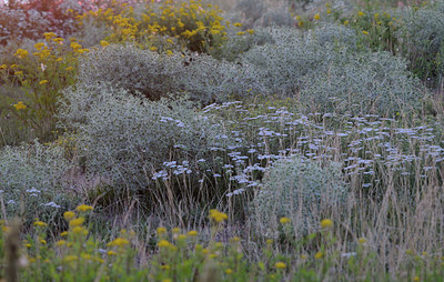 BUITEN BEELD Foto: 118134