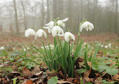BUITEN BEELD Foto: 118150