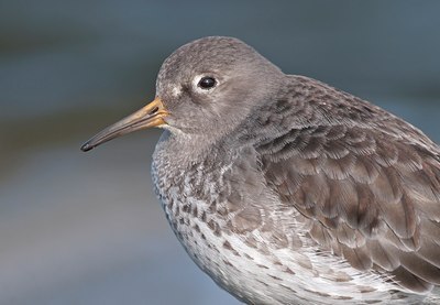 BUITEN BEELD Foto: 118203