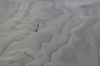 BUITEN BEELD Foto: 118231