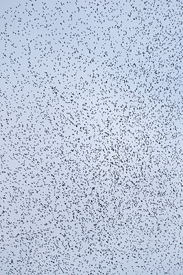 BUITEN BEELD Foto: 118261
