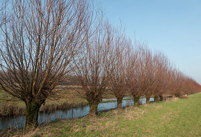 BUITEN BEELD Foto: 118343