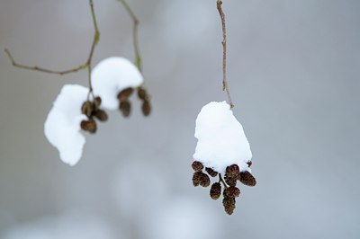 BUITEN BEELD Foto: 118385