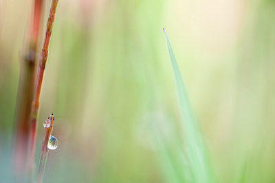 BUITEN BEELD Foto: 118400