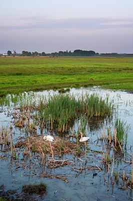BUITEN BEELD Foto: 118412