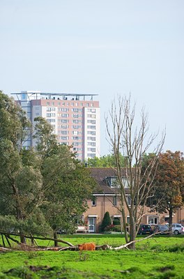 BUITEN BEELD Foto: 118417