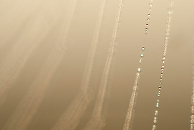 BUITEN BEELD Foto: 118469