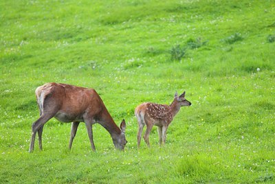 BUITEN BEELD Foto: 118482