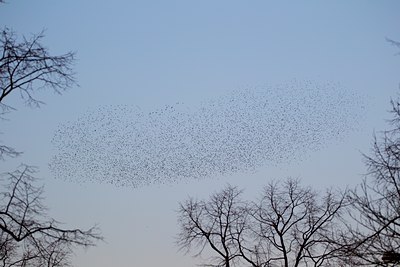 BUITEN BEELD Foto: 118508