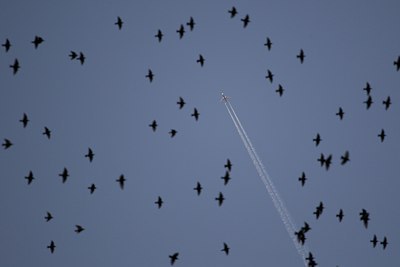 BUITEN BEELD Foto: 118511