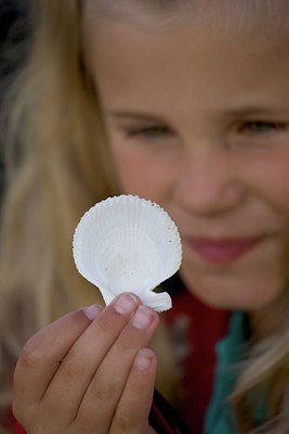 BUITEN BEELD Foto: 118550