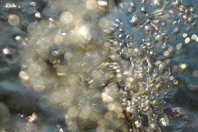 BUITEN BEELD Foto: 118558