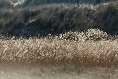 BUITEN BEELD Foto: 118589
