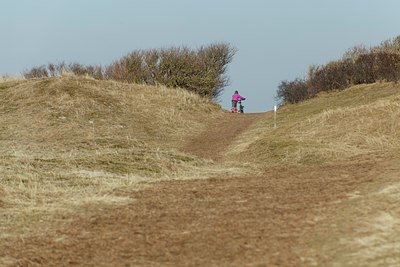 BUITEN BEELD Foto: 118611