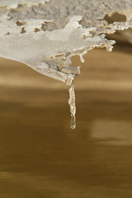 BUITEN BEELD Foto: 118621