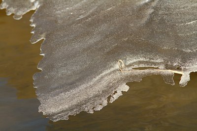 BUITEN BEELD Foto: 118623