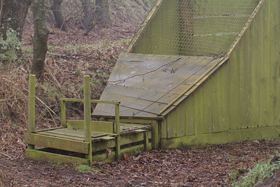 BUITEN BEELD Foto: 118640