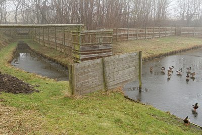 BUITEN BEELD Foto: 118642