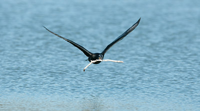 BUITEN BEELD Foto: 118657