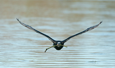 BUITEN BEELD Foto: 118659