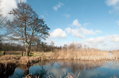 BUITEN BEELD Foto: 118685