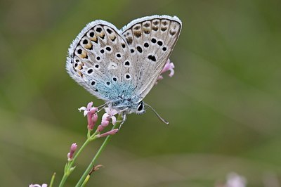 BUITEN BEELD Foto: 118925