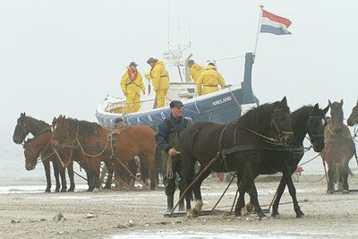 BUITEN BEELD Foto: 118943