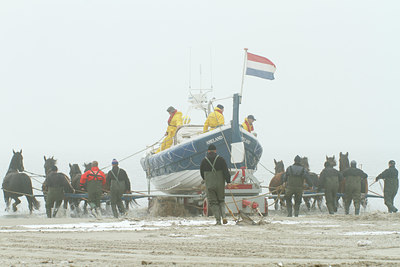 BUITEN BEELD Foto: 118945