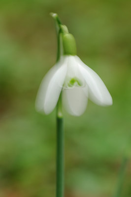 BUITEN BEELD Foto: 118970