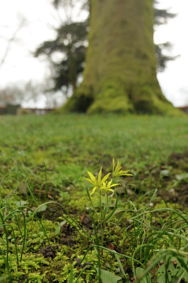 BUITEN BEELD Foto: 118981