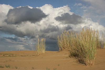 BUITEN BEELD Foto: 11094